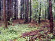 I (1075718879)