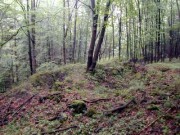 I (1075718875)