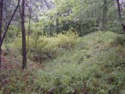 I (1075718873)