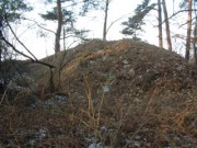 II (1075725724)