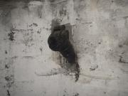 VI (1106072047)