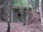 IV (1075726919)
